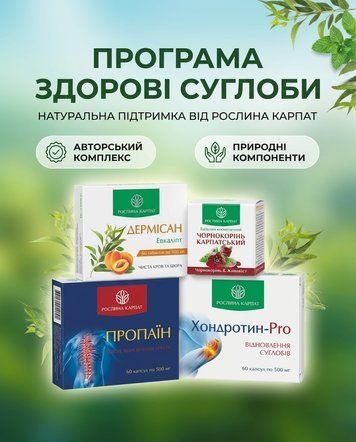 Програма Здорові суглоби &ndash; Дермісан, Чорнокорінь, Пропаїн, Хондротин Рослина Карпат 484759 фото