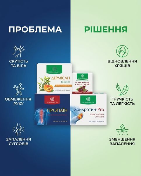 Програма Здорові суглоби &ndash; Дермісан, Чорнокорінь, Пропаїн, Хондротин Рослина Карпат 484759 фото