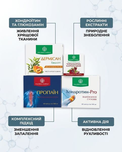 Програма Здорові суглоби &ndash; Дермісан, Чорнокорінь, Пропаїн, Хондротин Рослина Карпат 484759 фото