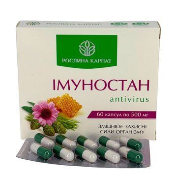 Імуностан - ANTIVIRUS &ndash; природний захист від вірусів та підтримка імунітету Рослина Карпат 484758 фото