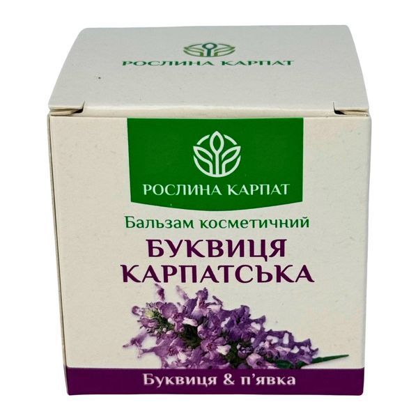 Бальзам Буквиця Карпатська &ndash; природний догляд при варикозі Рослина Карпат 484769 фото