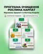 Програма очищення організму &ndash; Фунгіцин, Гельмінтозин, Лімфорен, Мікобен, Гепатовіт Рослина Карпат 484724 фото