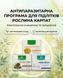 Комплексна антипаразитарна програма для підлітків &ndash; Мікобен, Гельмінтозин, Гепатовіт Рослина Карпат 484773 фото 1