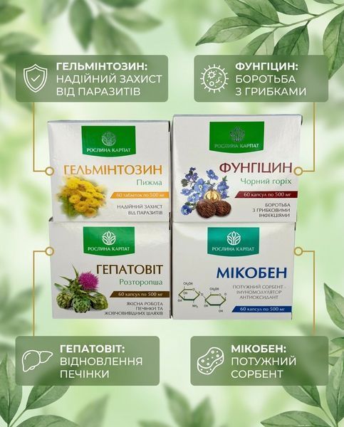 Комплексна програма очищення організму &ndash; Фунгіцин, Гепатовіт, Гельмінтозин, Мікобен Рослина Карпат 484755 фото