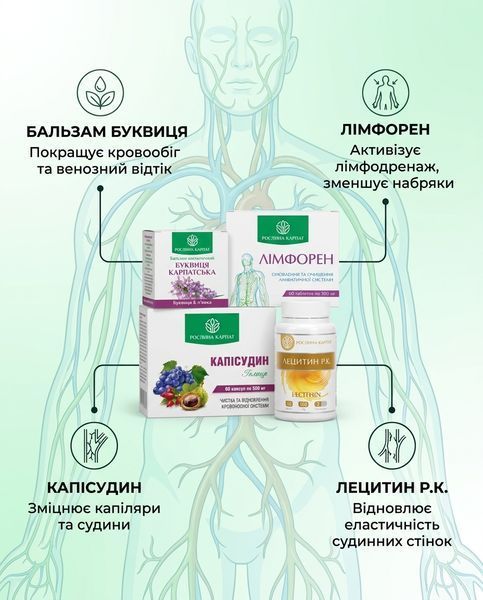 Програма для здоров&rsquo;я вен - Буквиця, Лімфорен, Капісудин, Лецитин 2уп. Рослина Карпат 546640 фото