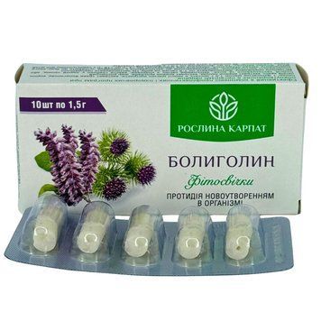 Фітосвічки Болиголин 10 шт. &ndash; природна підтримка при новоутвореннях Рослина Карпат 484809 фото