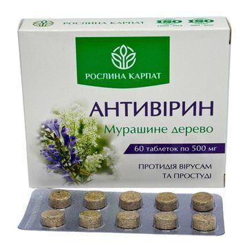 Антивірин &ndash; натуральний противірусний засіб для зміцнення імунітету Рослина Карпат 484762 фото