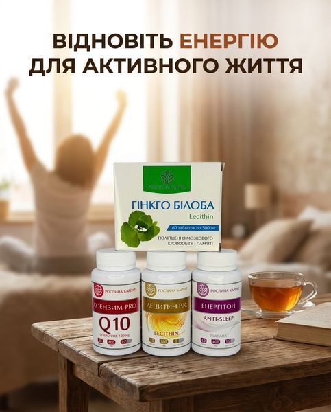 Программа для укрепления сосудов и тонуса &ndash; Гинкго Билоба, Коэнзим, Энергитон, Лецитин 2уп. Рослина Карпат 546641 фото