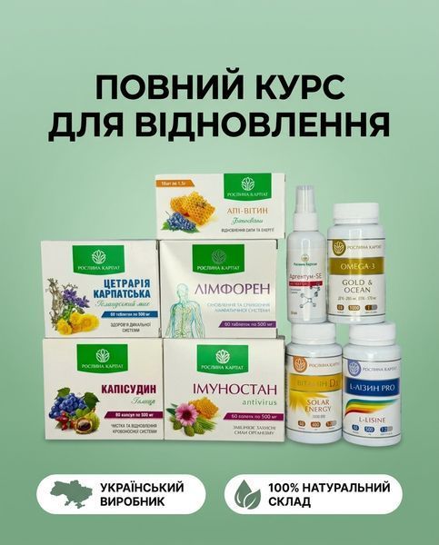 Програма профілактики COVID - Імуностан 2уп., Капісудин, D3, Лімфорен, Апі-Вітин, Аргентум, Цетрарія 2уп., Omega, Лізин 2уп. Рослина Карпат 546644 фото