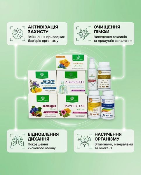 Програма профілактики COVID - Імуностан 2уп., Капісудин, D3, Лімфорен, Апі-Вітин, Аргентум, Цетрарія 2уп., Omega, Лізин 2уп. Рослина Карпат 546644 фото