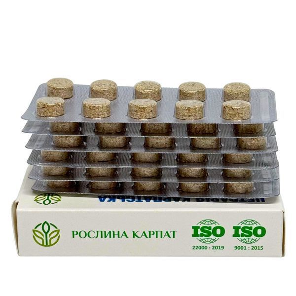 Цетрария карпатская 60 таб. &ndash; природное средство для дыхания Рослина Карпат 484815 фото