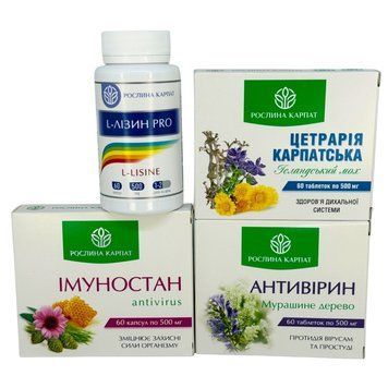 Комплексна програма при застуді, ГРЗ, ГРВІ - Антивірин, Імуностан, Цетрарія, Лізин Рослина Карпат 485494 фото