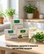 Програма для оздоровлення печінки та жовчовивідних шляхів - Гепатовіт, Мікобен, Лімфорен Рослина Карпат 485491 фото 4