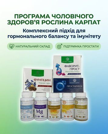 Програма для чоловіків - Фаворит, Цинк, Магній, Простарин, Лецитин, Омега-3, Вітамін Д3, Фунгіцин Рослина Карпат 485499 фото