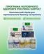 Програма для чоловіків - Фаворит, Цинк, Магній, Простарин, Лецитин, Омега-3, Вітамін Д3, Фунгіцин Рослина Карпат 485499 фото 1