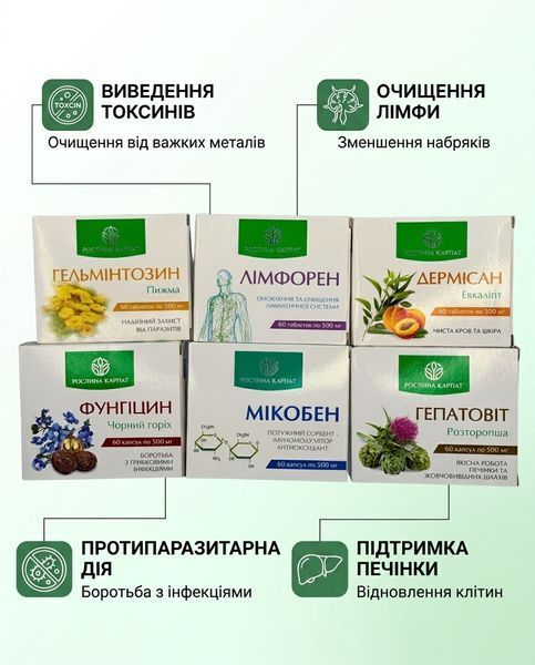 Програма комплексного очищення організму - Мікобен, Фунгіцин, Лімфорен, Гельмінтозин, Гепатовіт, Дермісан Рослина Карпат 485500 фото