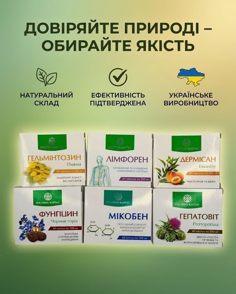 Програма комплексного очищення організму - Мікобен, Фунгіцин, Лімфорен, Гельмінтозин, Гепатовіт, Дермісан Рослина Карпат 485500 фото