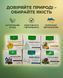 Програма комплексного очищення організму - Мікобен, Фунгіцин, Лімфорен, Гельмінтозин, Гепатовіт, Дермісан Рослина Карпат 485500 фото 5