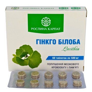 Гінкго Білоба + Лецитин &ndash; підтримка пам&rsquo;яті та мозкової активності Рослина Карпат 484780 фото